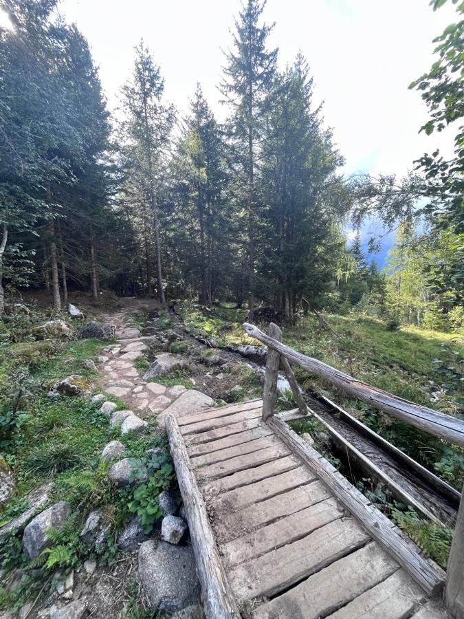 Ferienwohnung Rifugetto Marilleva Exterior foto